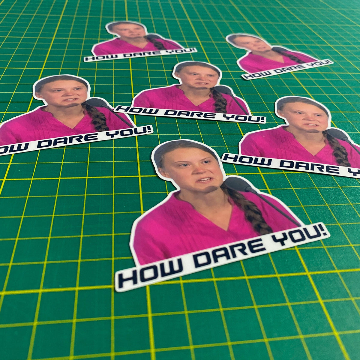 Greta Thunberg How Dare You Meme Decal