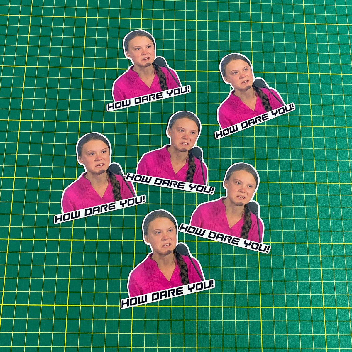 Greta Thunberg How Dare You Meme Decal