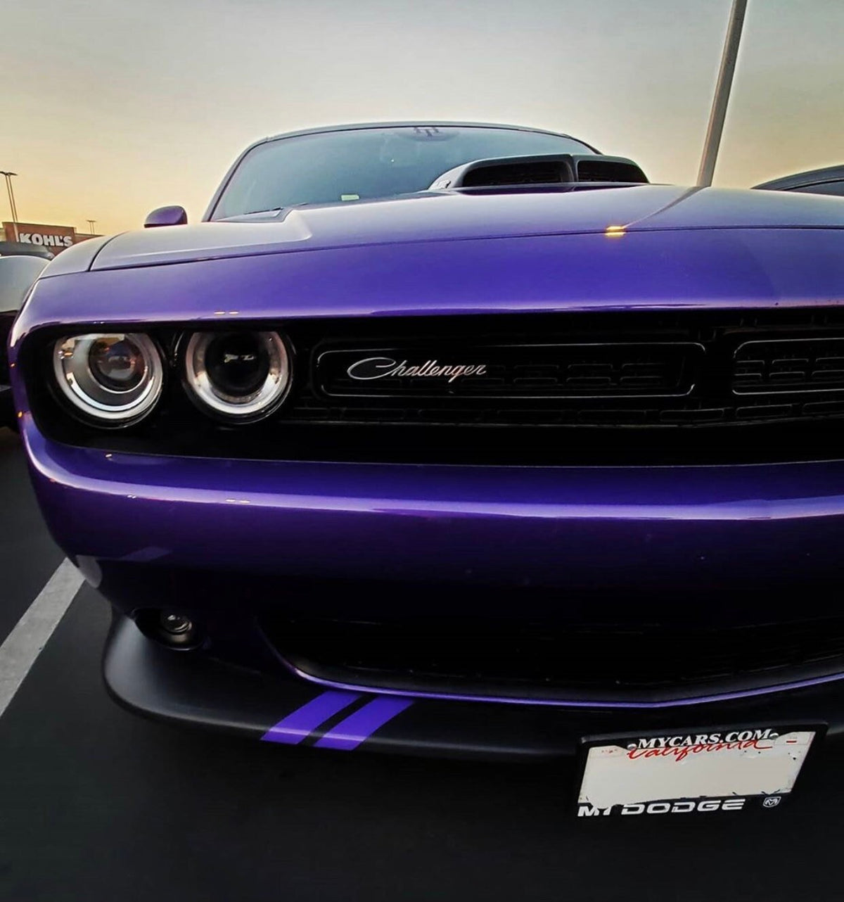 Dodge Charger Bumper Stripes Decal